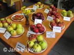 Podzimni vystava